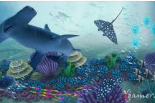 南宫app电脑免费版